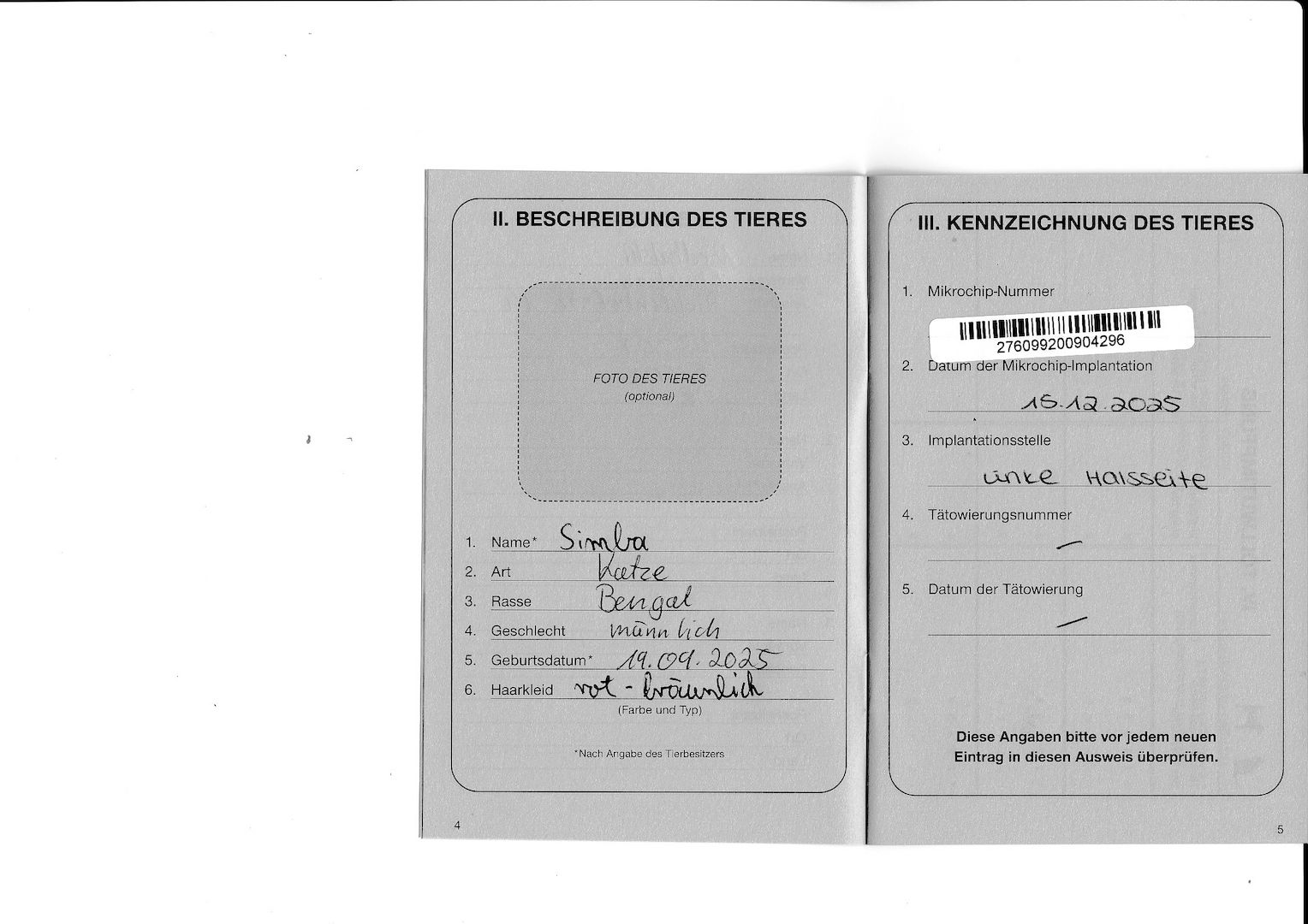 2x Bengalkatzen ( Kater und Katze )