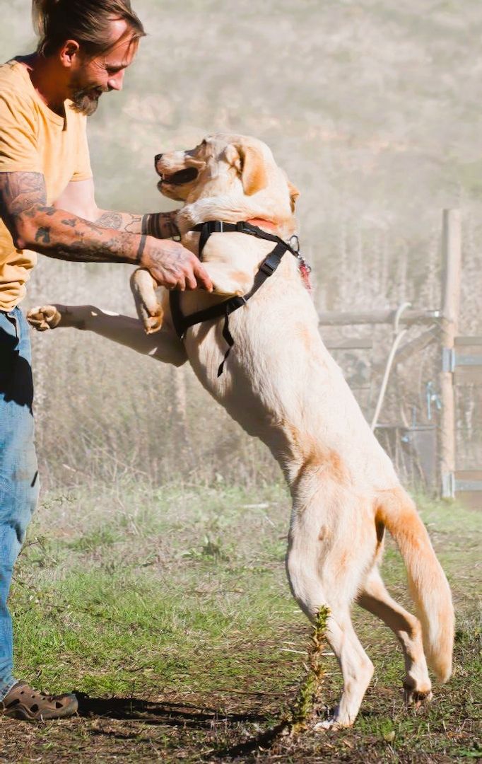 Doya - ein großer Schatz