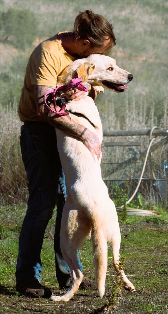 Doya - ein großer Schatz