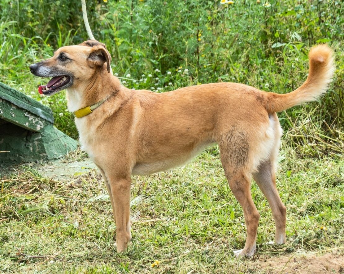 Sunny - eine selbstbewusste Dame