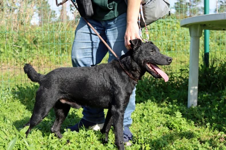 Mattheus - ein sanfter Begleiter