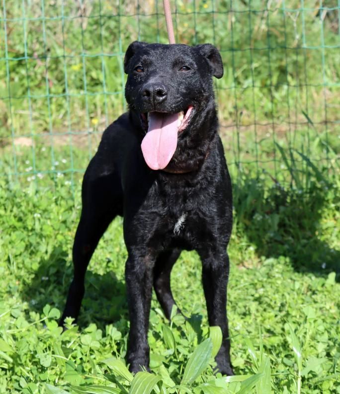 Mattheus - ein sanfter Begleiter