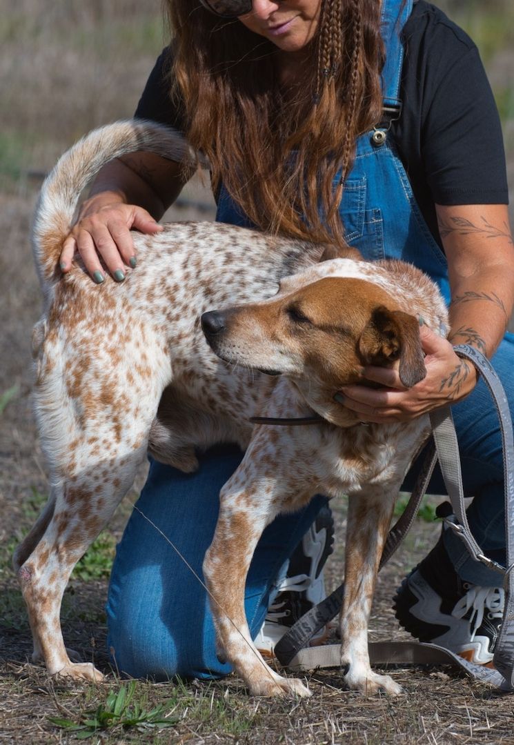 Duke - ein Schatz mit Handicap