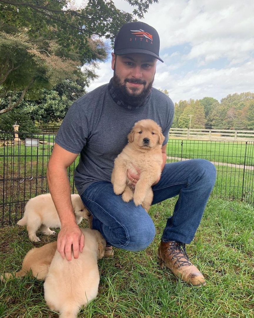 Herausragende Golden-Retriever-Welpen