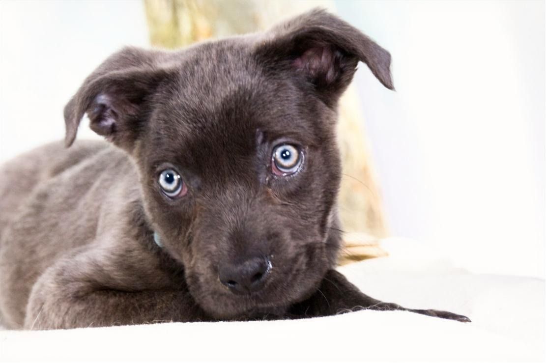 Noelly - voller Lebensfreude