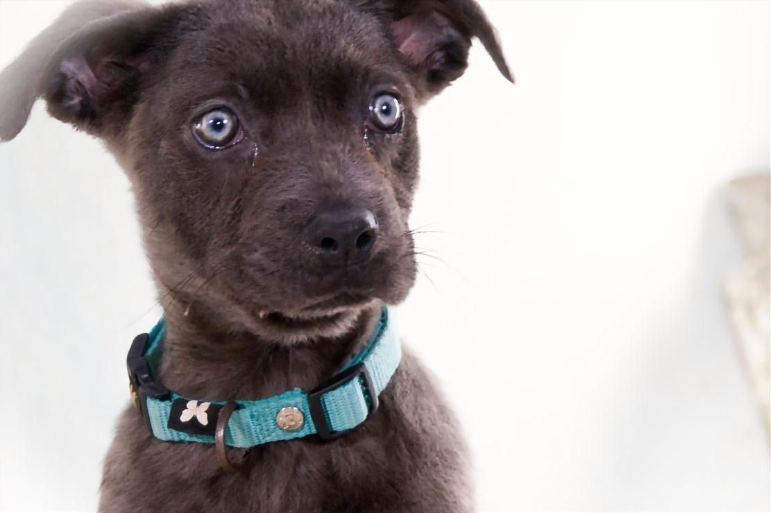 Noelly - voller Lebensfreude