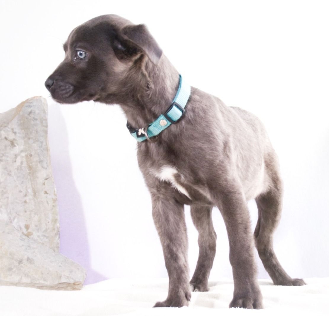 Noelly - voller Lebensfreude