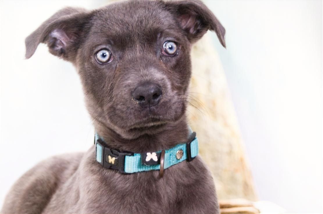 Noelly - voller Lebensfreude