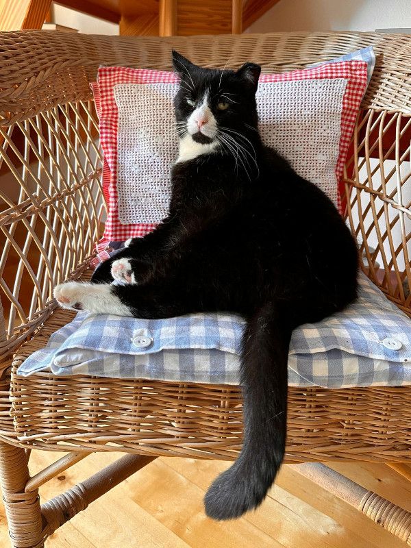 Käpt´n MORLOCK sucht Ankerplatz ohne Crew