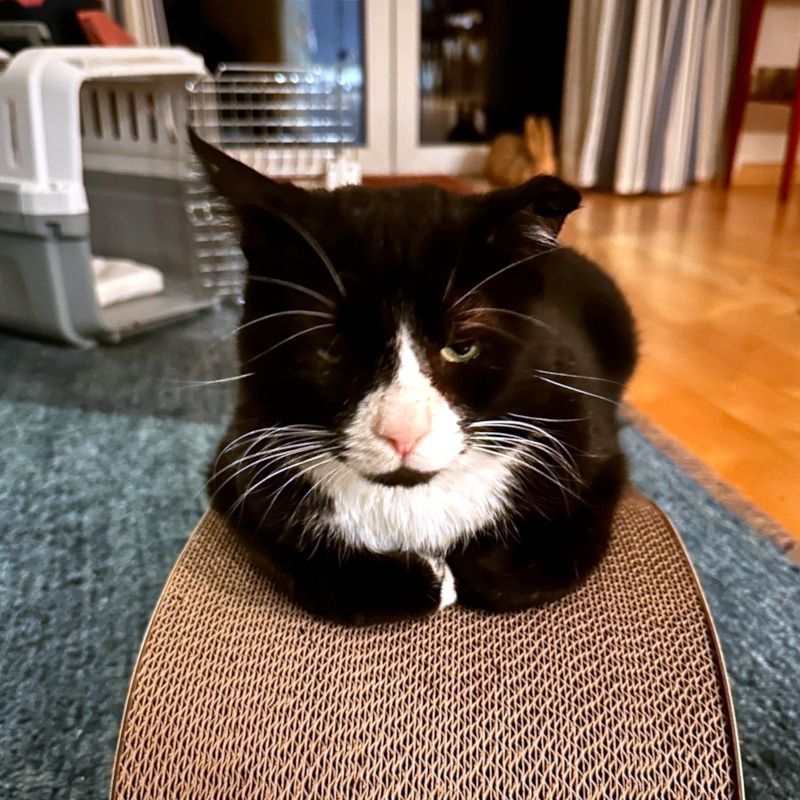 Käpt´n MORLOCK sucht Ankerplatz ohne Crew