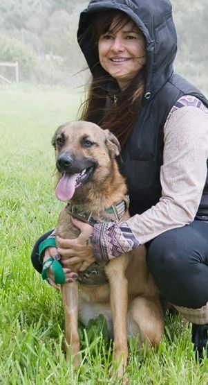 Sweet - junger Wirbelwind mit Herz