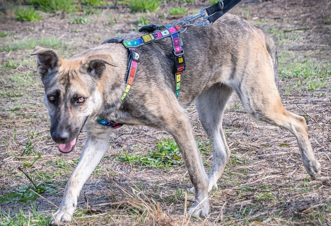 Jennifer - ein liebes Mädchen