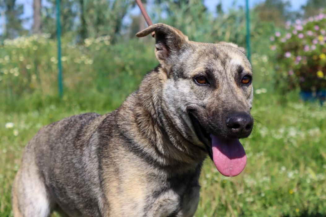 Jennifer - ein liebes Mädchen