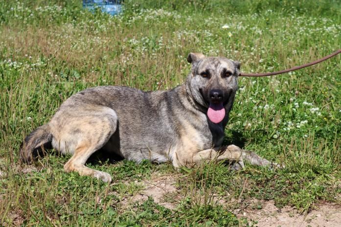 Jennifer - ein liebes Mädchen