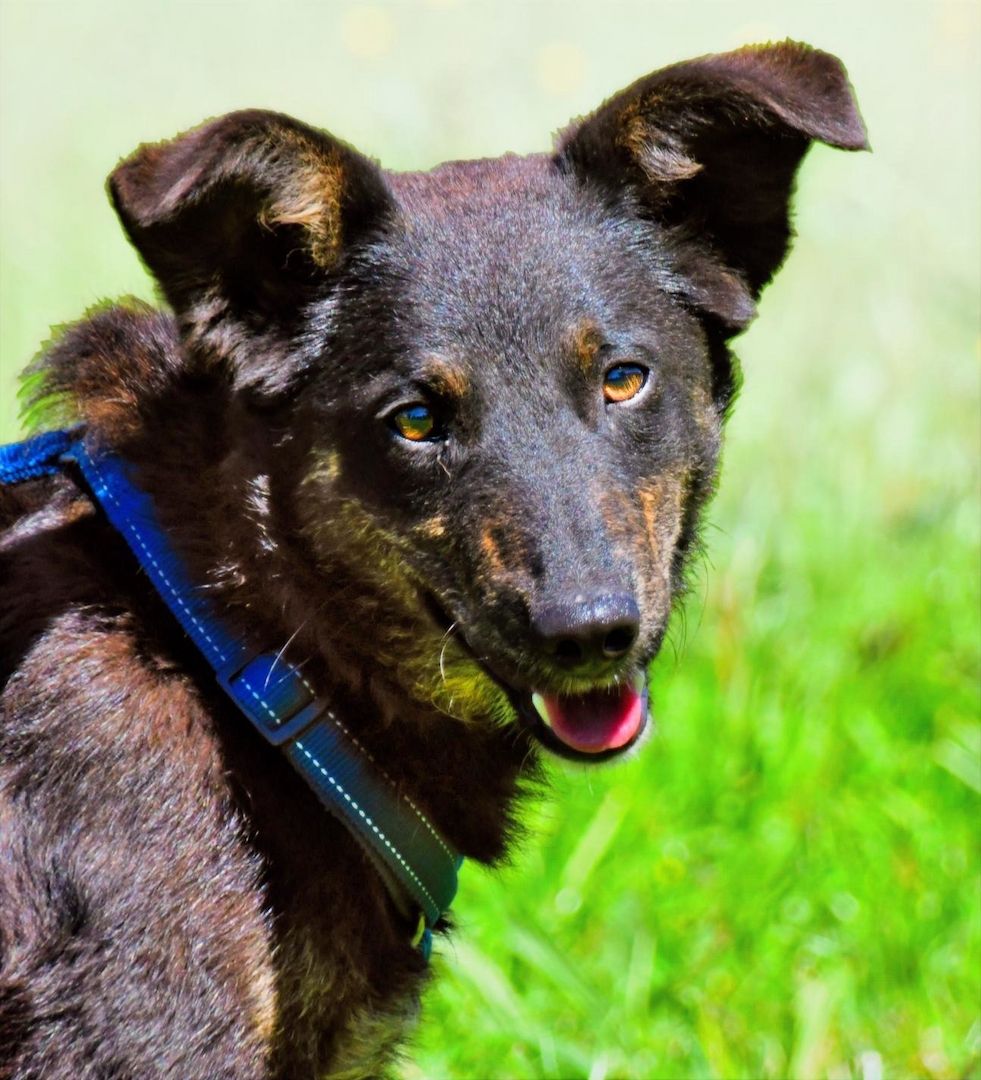 Amora - eine liebe Seele