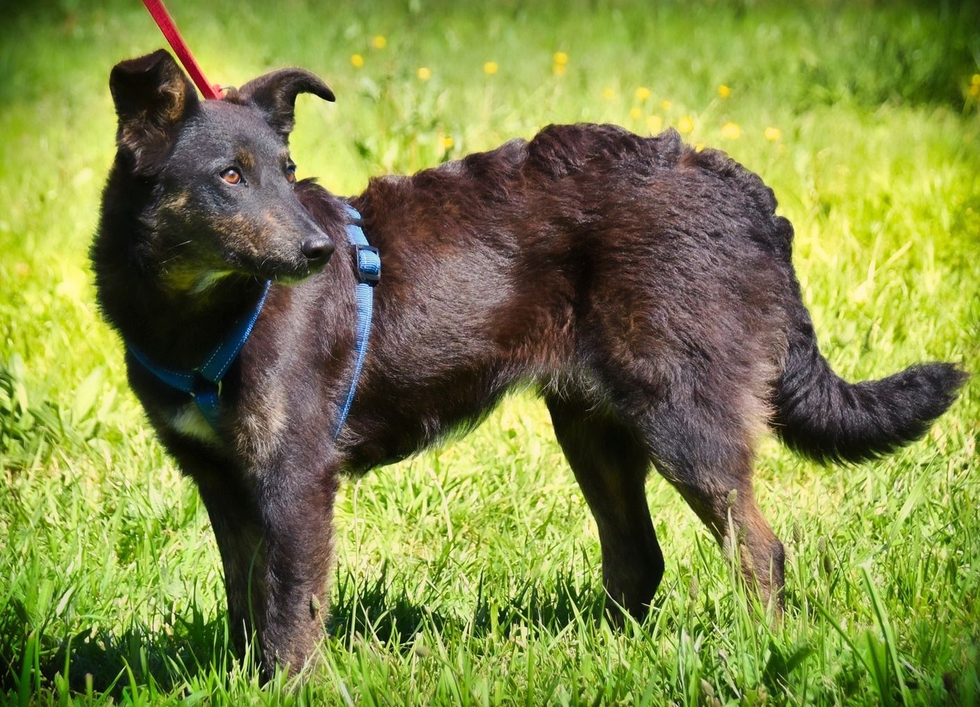 Amora - eine liebe Seele