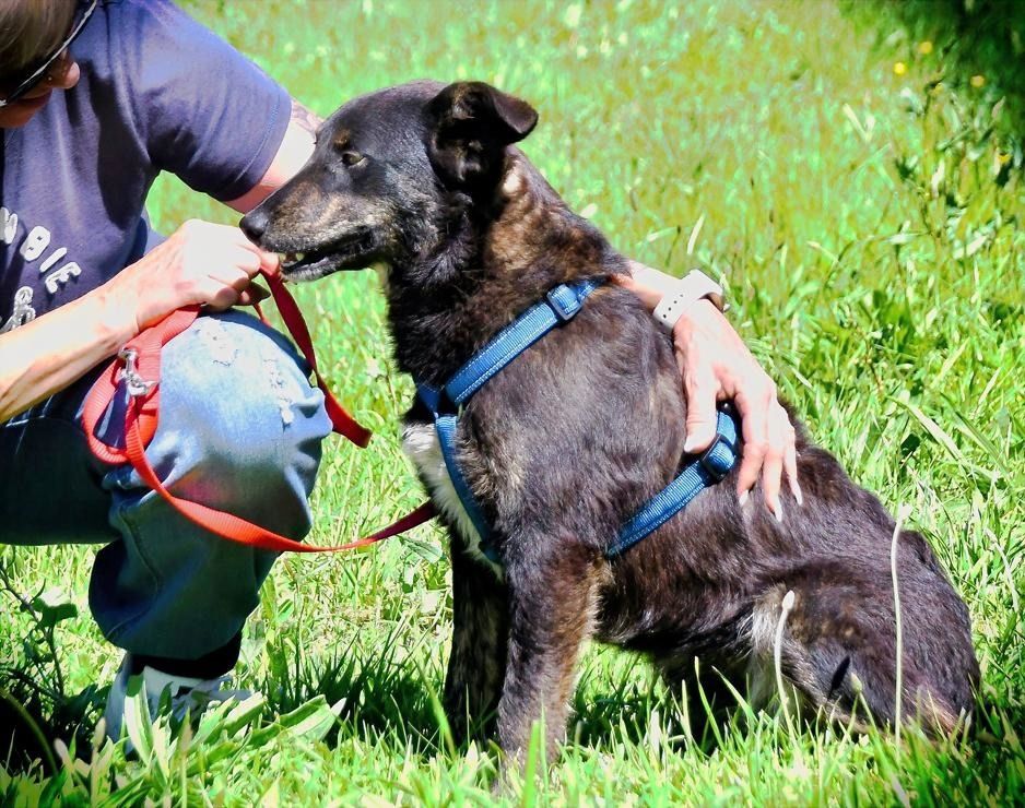 Amora - eine liebe Seele