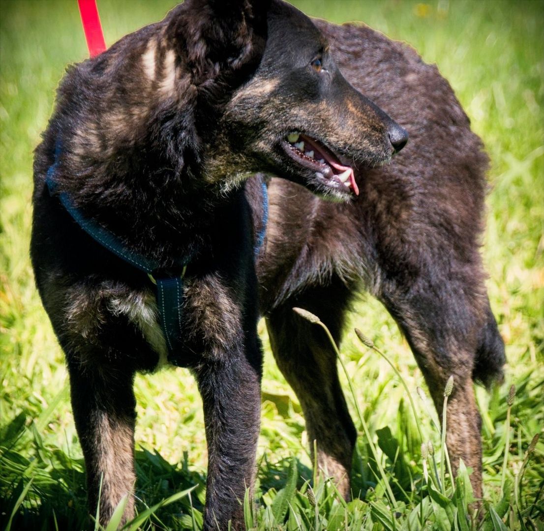 Amora - eine liebe Seele