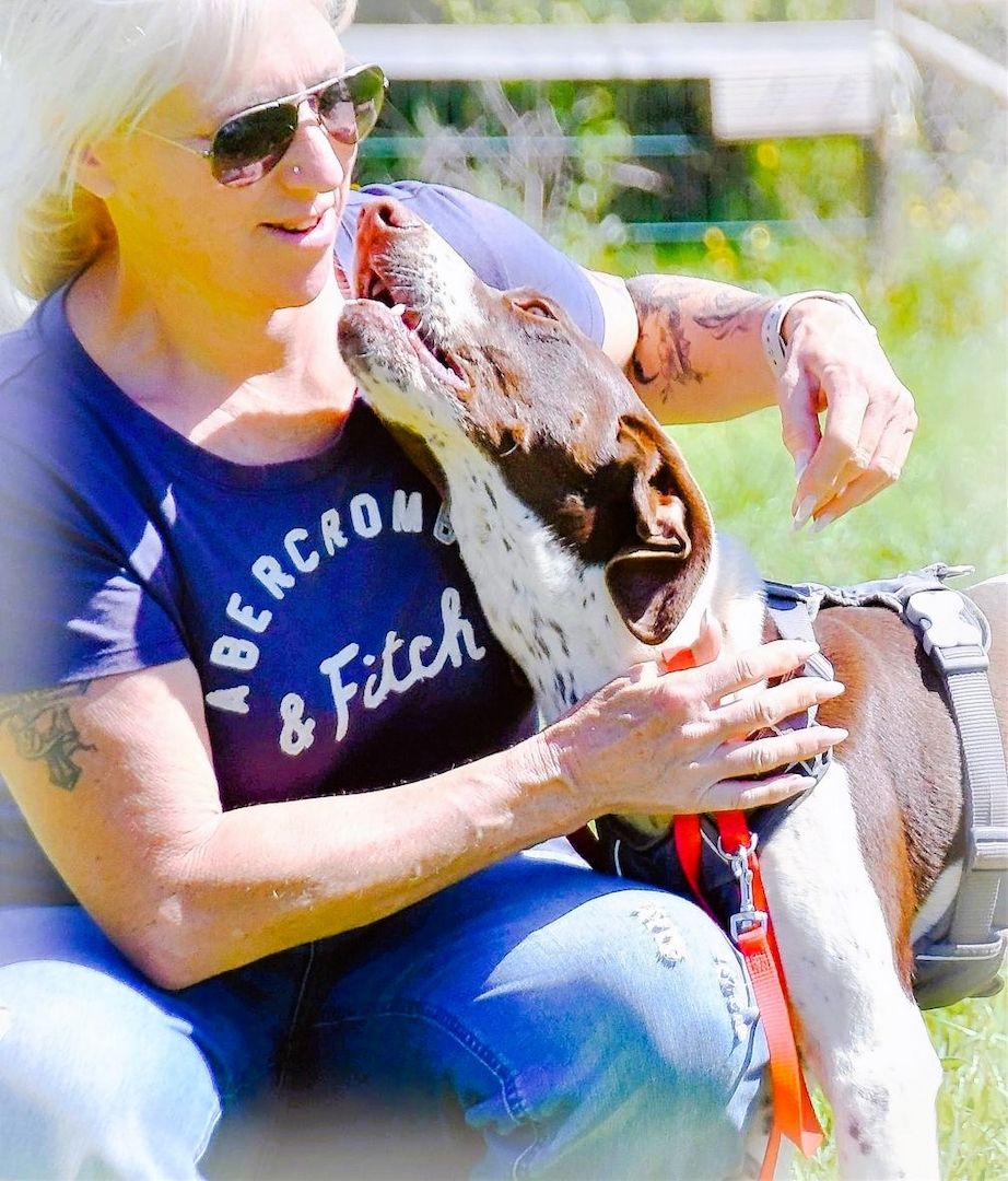 Scout - bereit für Abenteuer