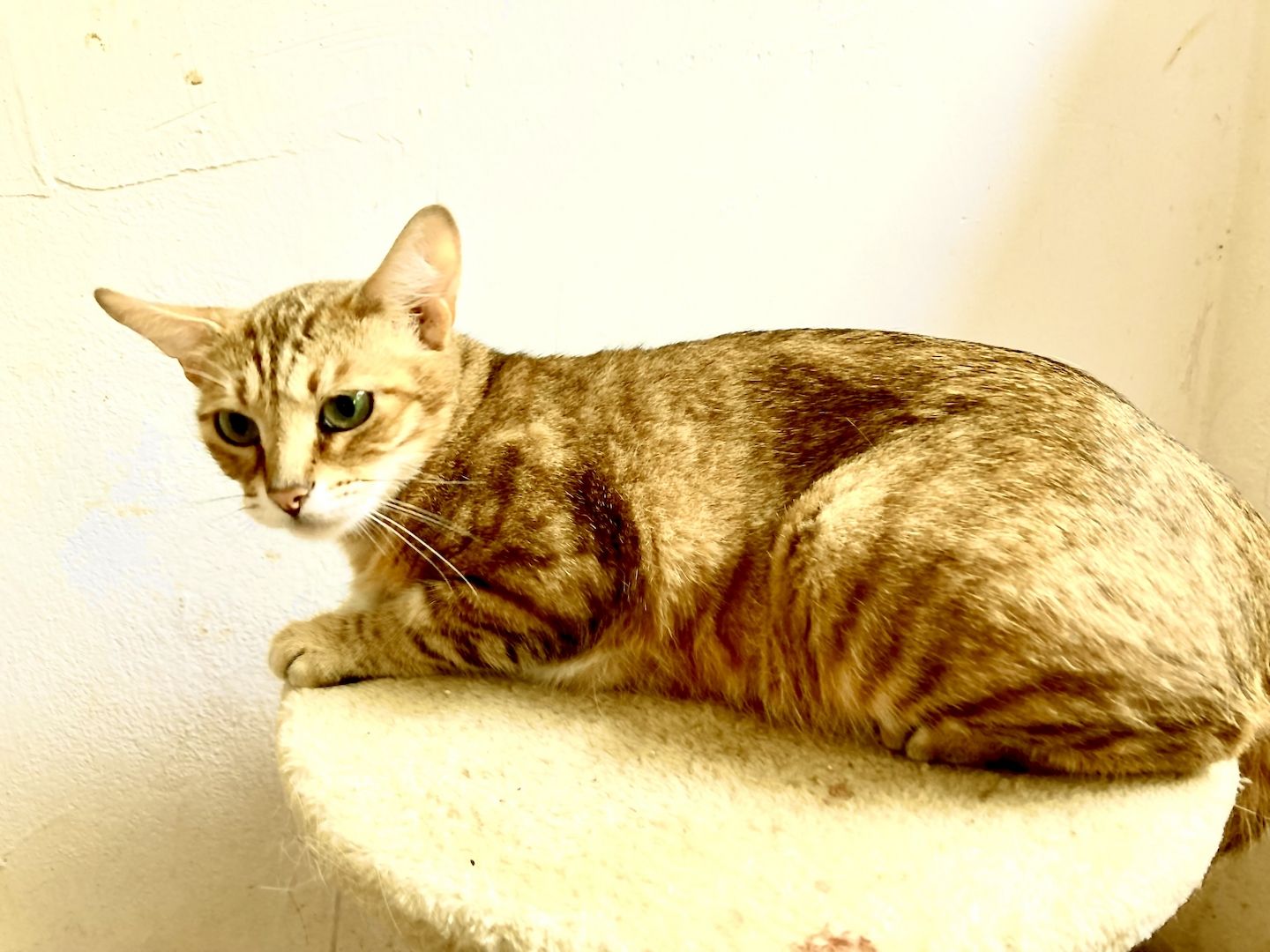 Madeleine wünscht sich Freiheit