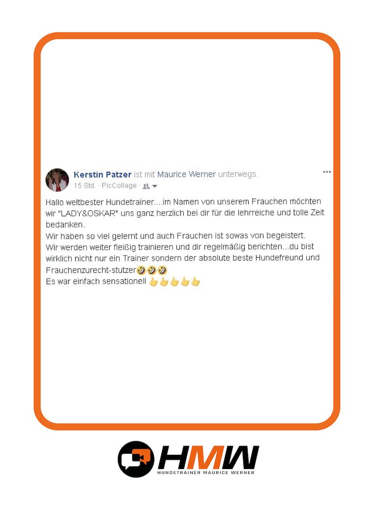 Professionelles Hundetraining – Persönlich oder auch via Video