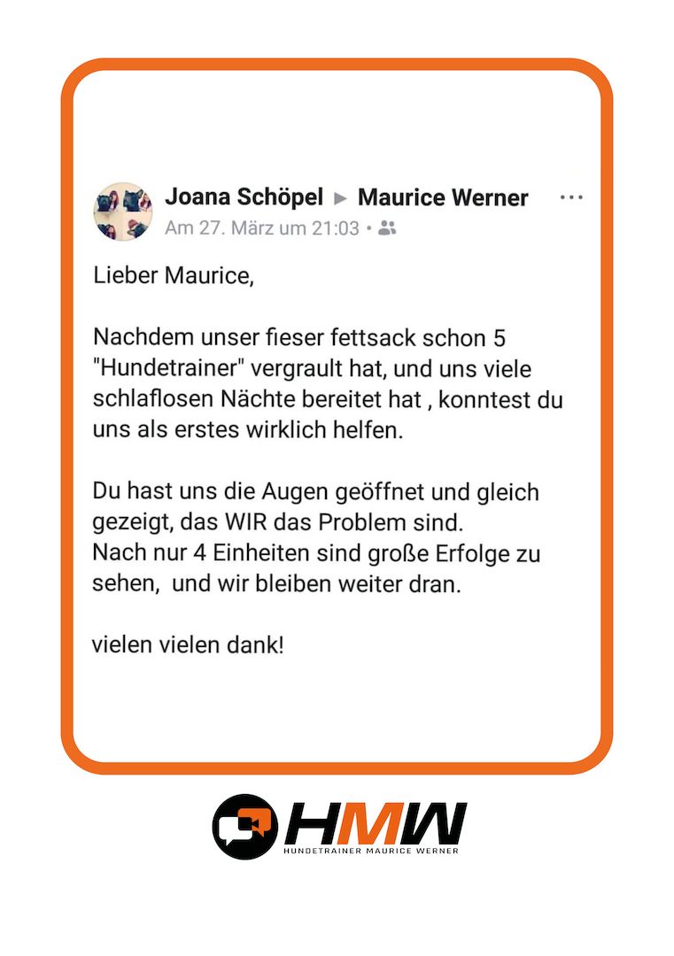 Professionelles Hundetraining – Persönlich oder auch via Video