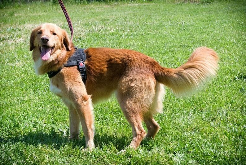 Barro - voller Leben und Herzenswärme