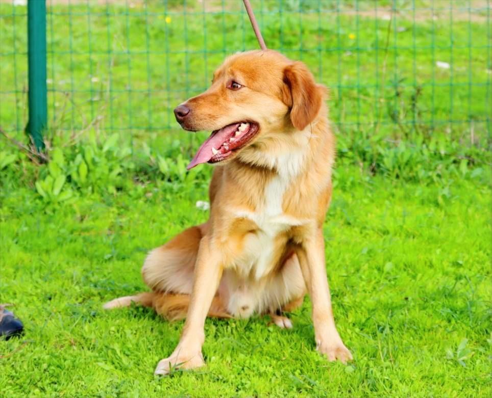 Barro - voller Leben und Herzenswärme