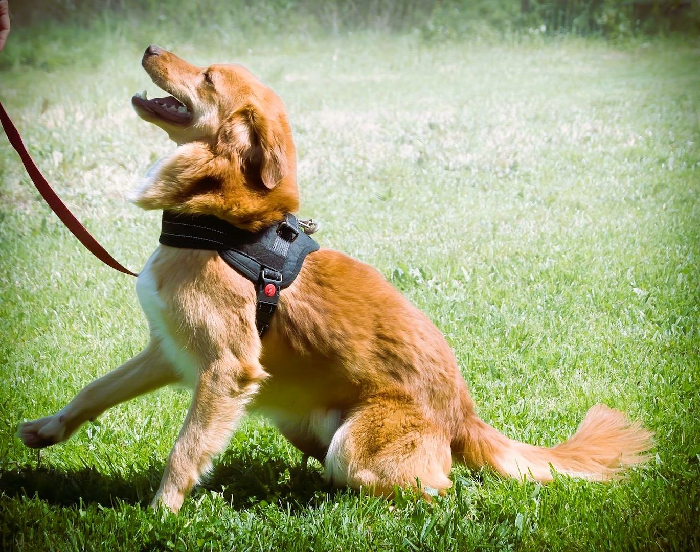 Barro - voller Leben und Herzenswärme