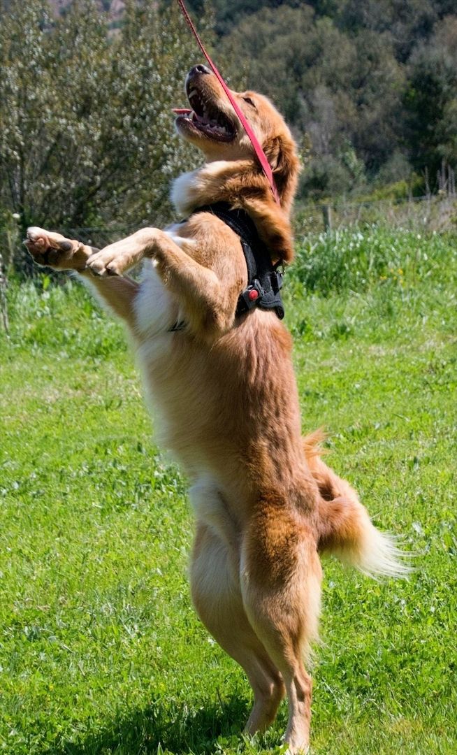 Barro - voller Leben und Herzenswärme