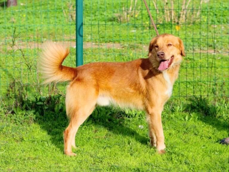 Barro - voller Leben und Herzenswärme