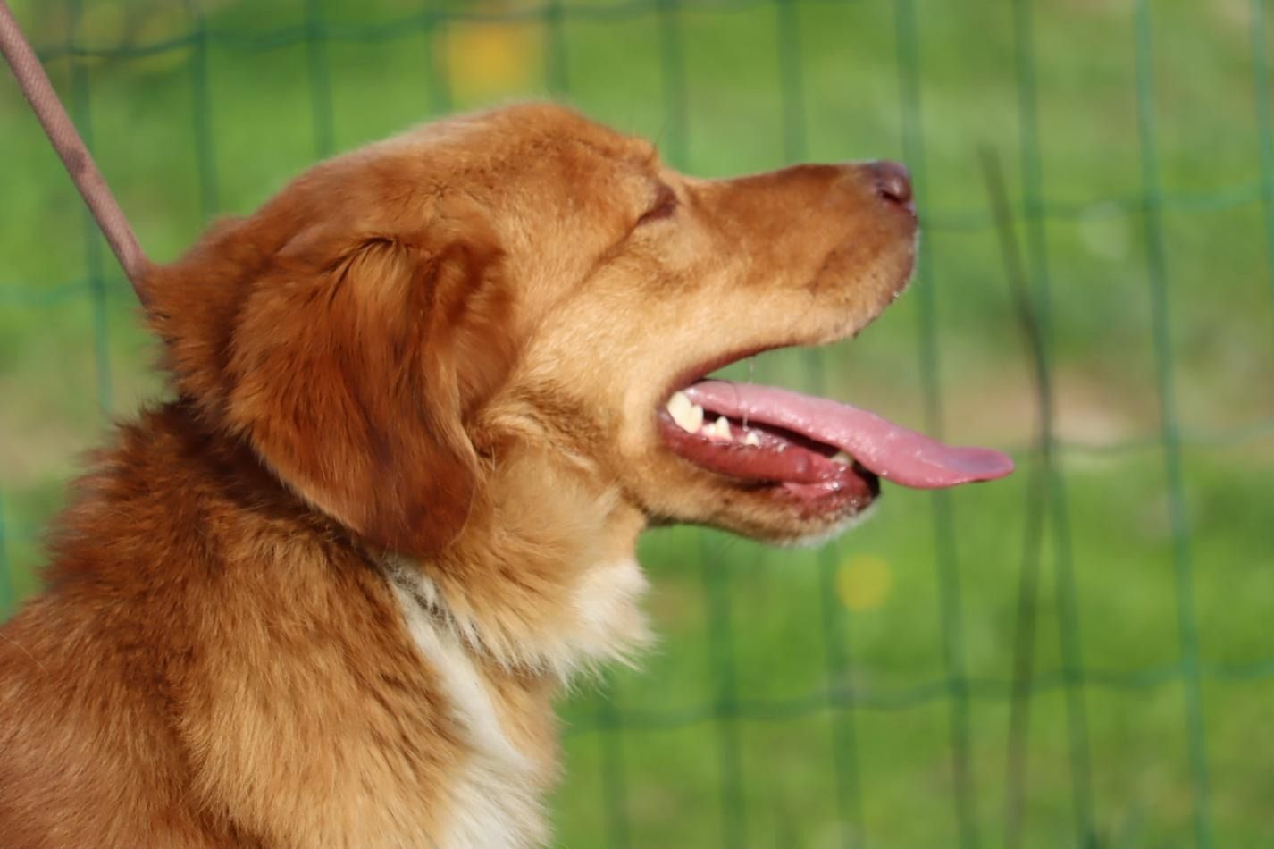 Barro - voller Leben und Herzenswärme