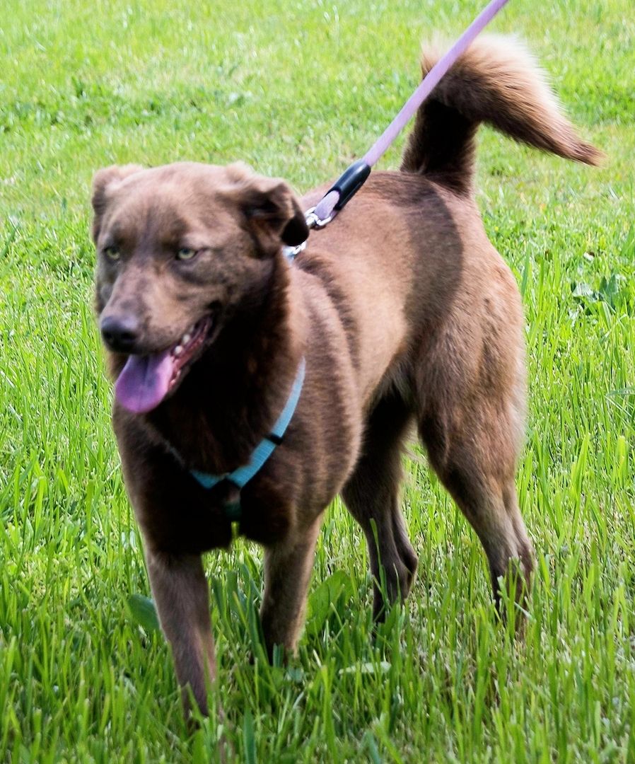 Amendoa - ein kesses Mädchen