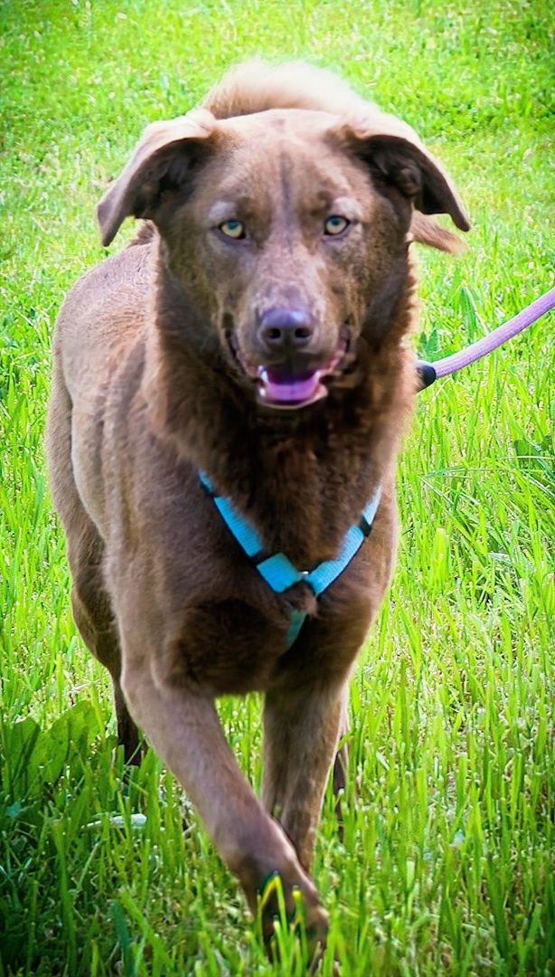 Amendoa - ein kesses Mädchen