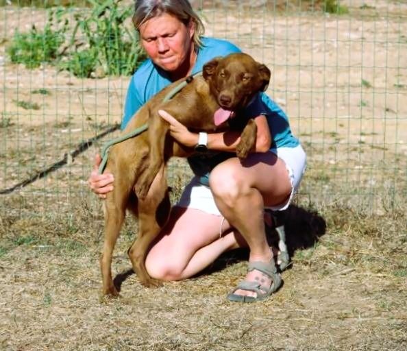 Amendoa - ein kesses Mädchen