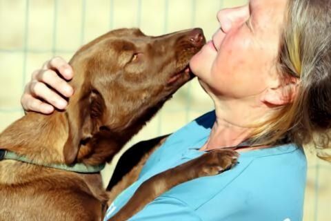 Amendoa - ein kesses Mädchen