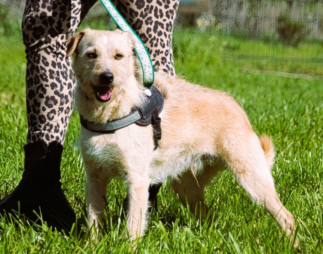 Patrick - auf dem Weg ins Vertrauen