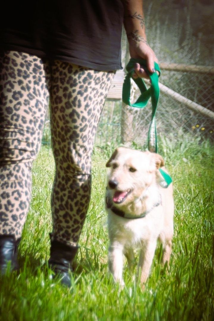 Patrick - auf dem Weg ins Vertrauen