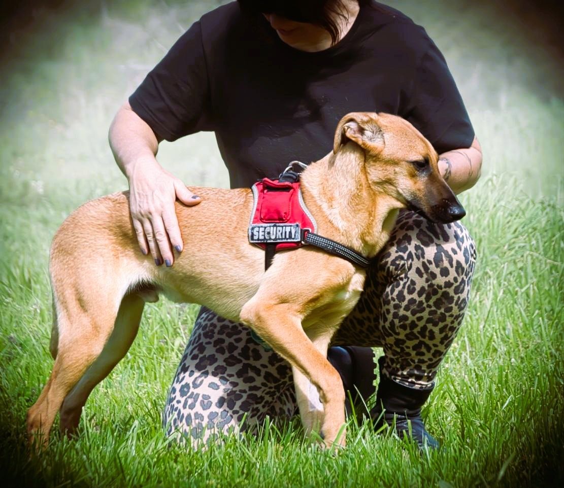 Delano - voller Charme und Lebensfreude