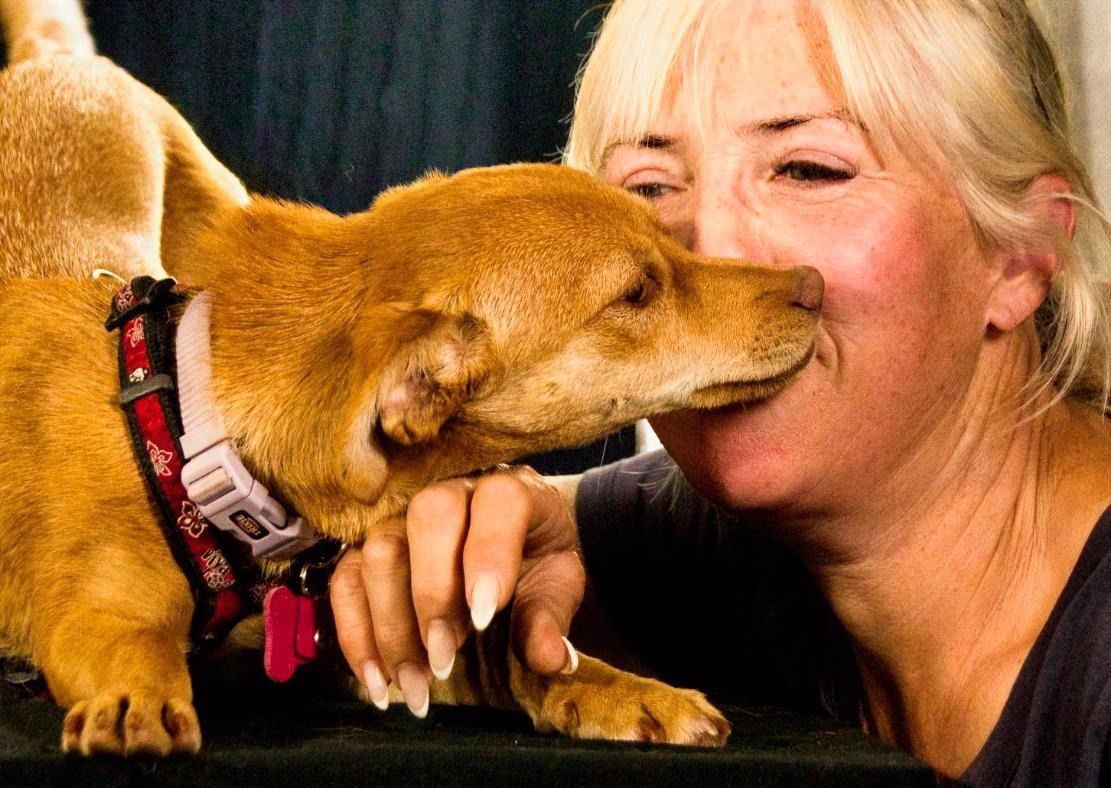 Shrimps - fröhlicher Sonnenschein