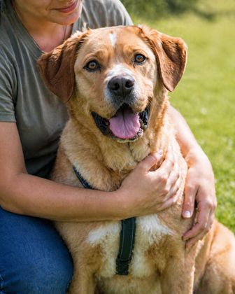 Valentim - ein Powerpaket