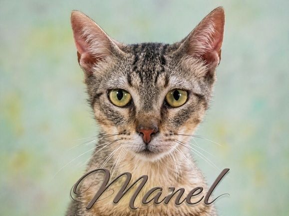 Manel - jung und verspielt