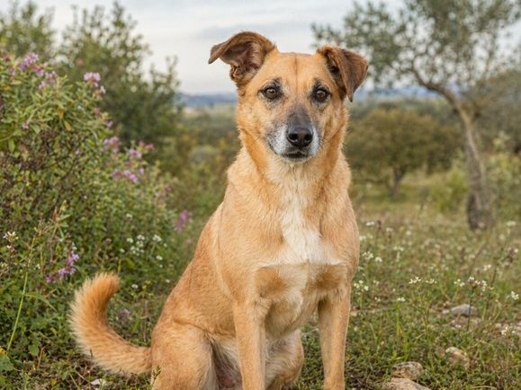 Sunny – eine selbstbewusste Dame