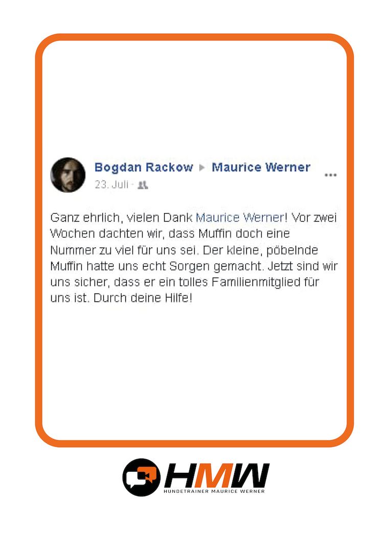 Professionelles Hundetraining – Persönlich oder auch via Video