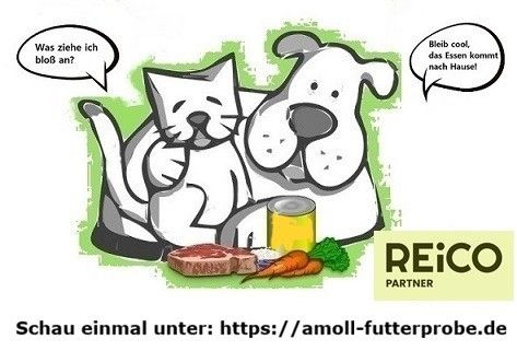 Einladung zum Festessen