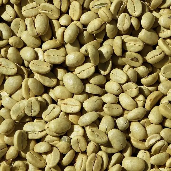 Hochwertige Arabica- & Robusta-Kaffeebohnen aus Kenia für den Export
