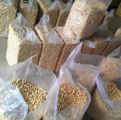 Rohe und geröstete Cashewnüsse aus Kenia zum Verkauf (für den Export).