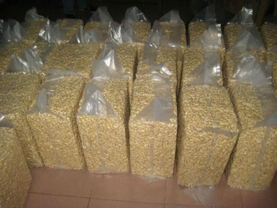 Rohe und geröstete Cashewnüsse aus Kenia zum Verkauf (für den Export).