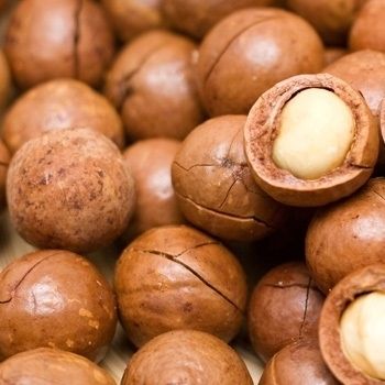 Hochwertige Macadamianüsse – mit und ohne Schale – zu verkaufen.