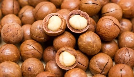 Hochwertige Macadamianüsse – mit und ohne Schale – zu verkaufen.